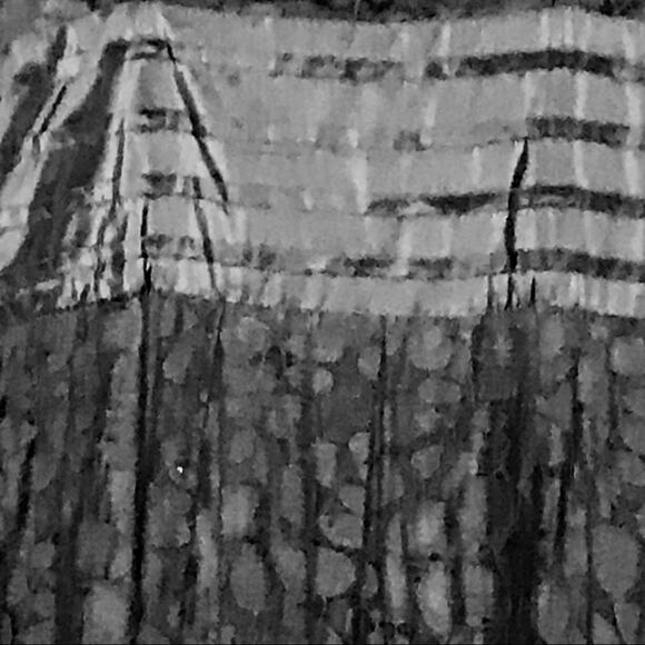 Plenty Frock by Tracy Reese Size 4 Black Lace Sleeveless Party Dress - Picture 7 of 9